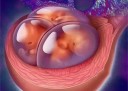 什么时候同房容易深圳代怀孕